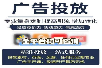 SEM公司案例研究：数据驱动营销策略